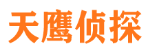 洛川市调查公司